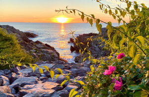Marinal Way, rocks, beach roses sunrise