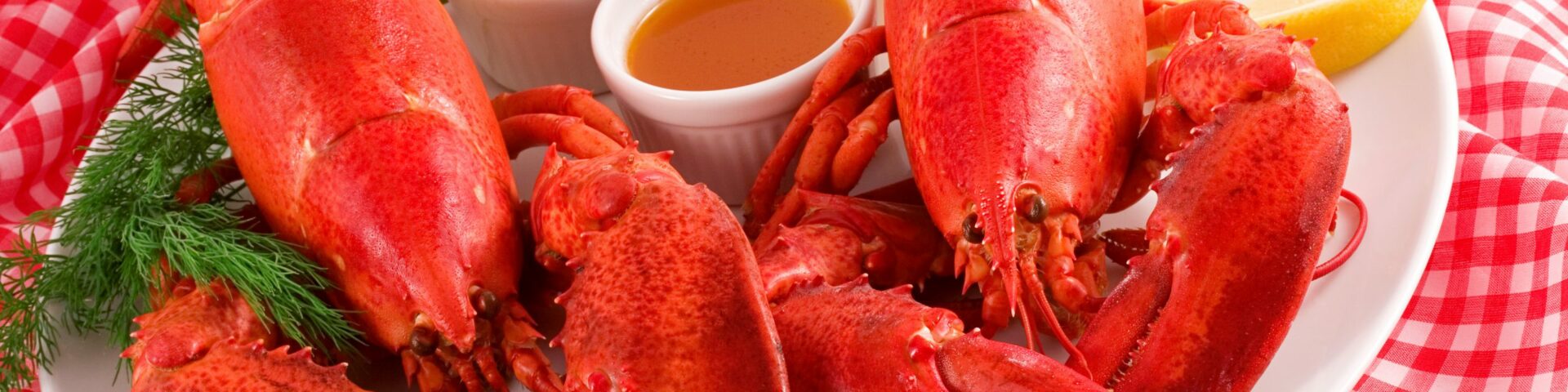 Portion of lobsters